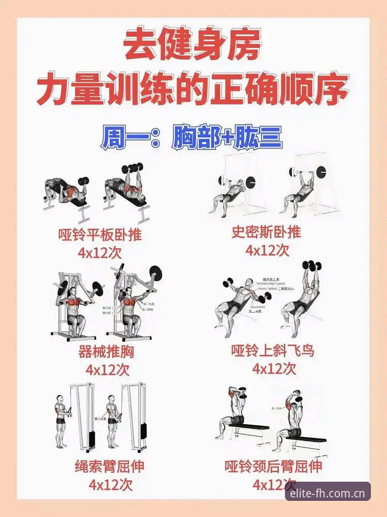 FH体育性能优化到底怎么做？新手也能轻松掌握的5个关键技巧